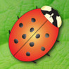 Sara's Ladybugs Image