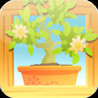 A Plant's Life Image