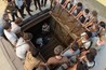 The Maze Runner Image