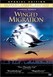 Winged Migration Image