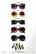 The Bling Ring Image
