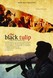 The Black Tulip Image