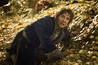 The Hobbit: The Desolation of Smaug Image