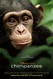 Chimpanzee Image