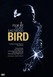 Bird Image