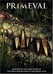 Primeval Image