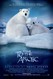 To the Arctic Image