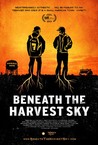 Beneath the Harvest Sky Image