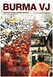 Burma VJ: Reporter i et lukket land Image