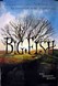 Big Fish Image
