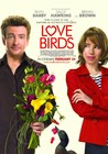 Love Birds Image