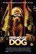 Firehouse Dog Image