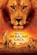 African Cats Image