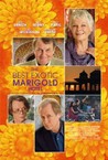 The Best Exotic Marigold Hotel Image