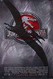 Jurassic Park III Image