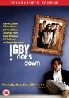 Igby Goes Down Image