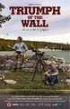 Triumph of the Wall Product Image