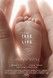 The Tree of Life Image