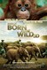 Born to Be Wild Image