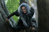 Into the Woods Image