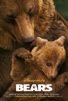 Bears Image