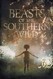 Beasts of the Southern Wild Image