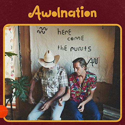 Image result for awolnation here come the runts