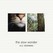 The Slow Wonder Image