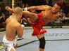 UFC Fight Night Image