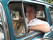 Anthony Bourdain: No Reservations: Season 2 Image