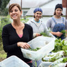 Get Fresh With Sara Snow Image