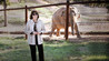 An Apology to Elephants Image