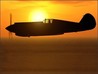 Dogfights Image