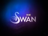The Swan Image