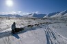 Iditarod Image