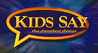 Kids Say the Darndest Things Image