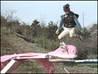 Most Extreme Elimination Challenge Image