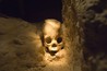 Bone Detectives Image