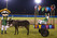 Eastbound & Down: Season 4 Image