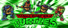 Teenage Mutant Ninja Turtles (2003) Image