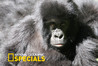 National Geographic Channel Specials Image