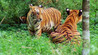Saving Planet Earth Image