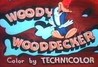 The Woody Woodpecker Show Image