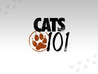 Cats 101 Image