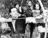 The Adventures of Robin Hood Image