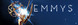 The Primetime Emmy Awards: Season 65 Product Image