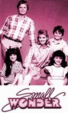 Small Wonder Image