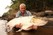 River Monsters: Season 4 Image