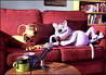 Creature Comforts (UK) Image