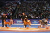 AKC/Eukanuba National Championship 2006 Image